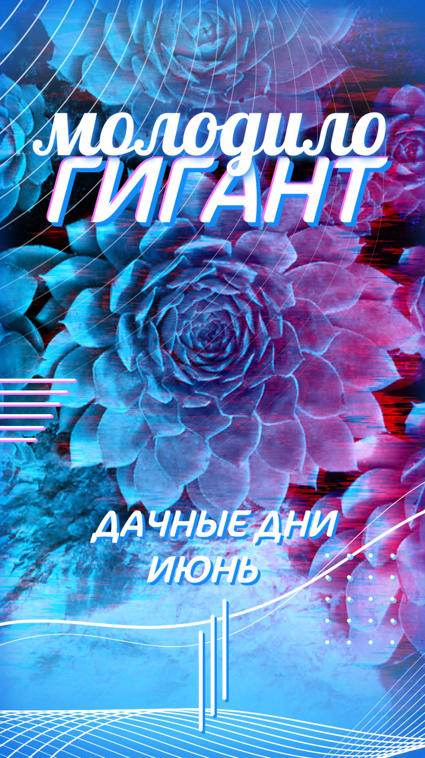 Новое гигантское молодило смотреть онлайн