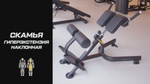 Тренажёр скамья гиперэкстензия наклонная: что это такое и как пользоваться оборудованием?