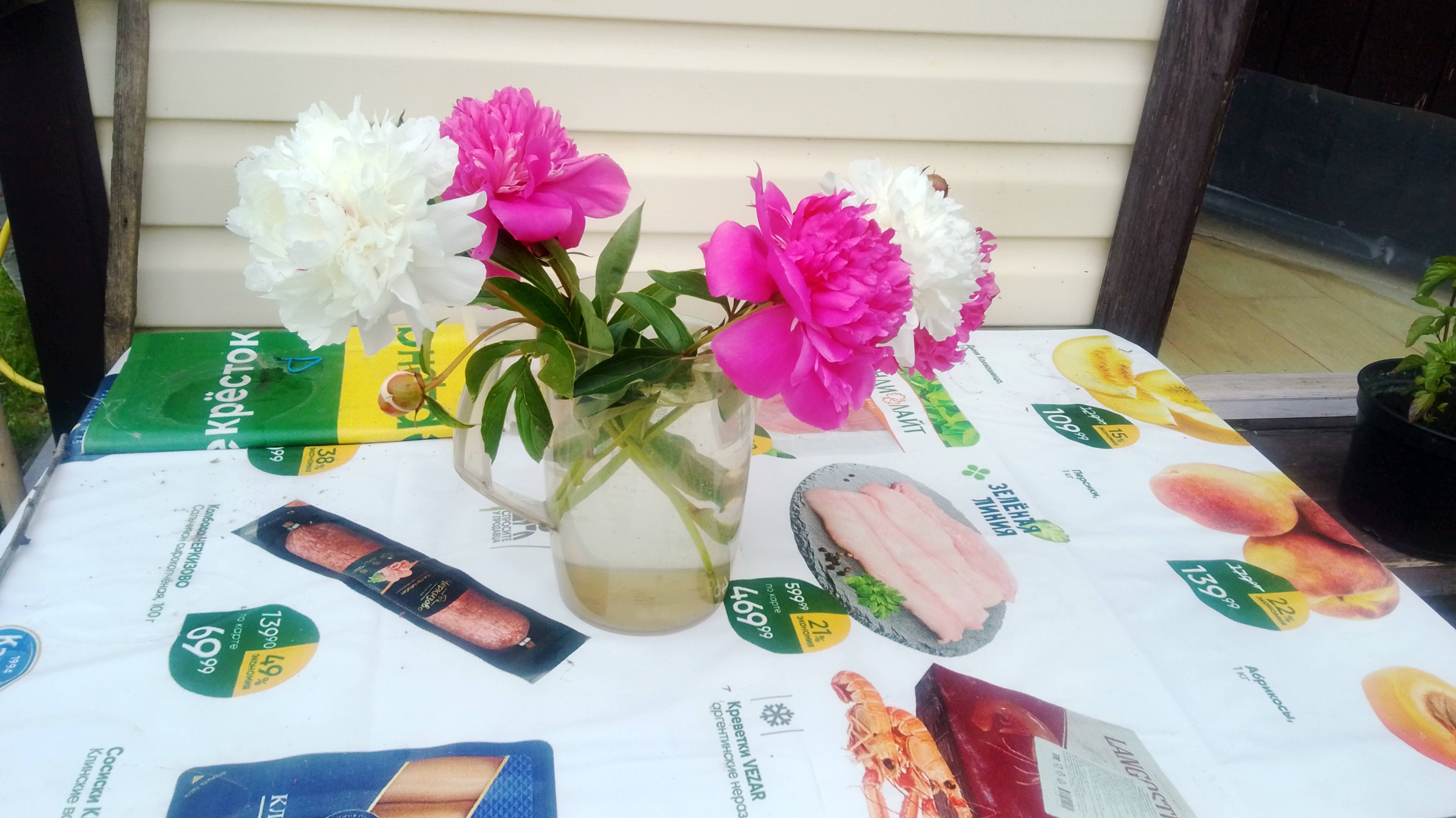 У природы нет плохой погоды июль 2025 года.