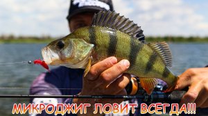 МИКРОДЖИГ ловит ВСЕГДА 👍 РАБОЧИЕ приманки на ОКУНЯ 💪💪💪