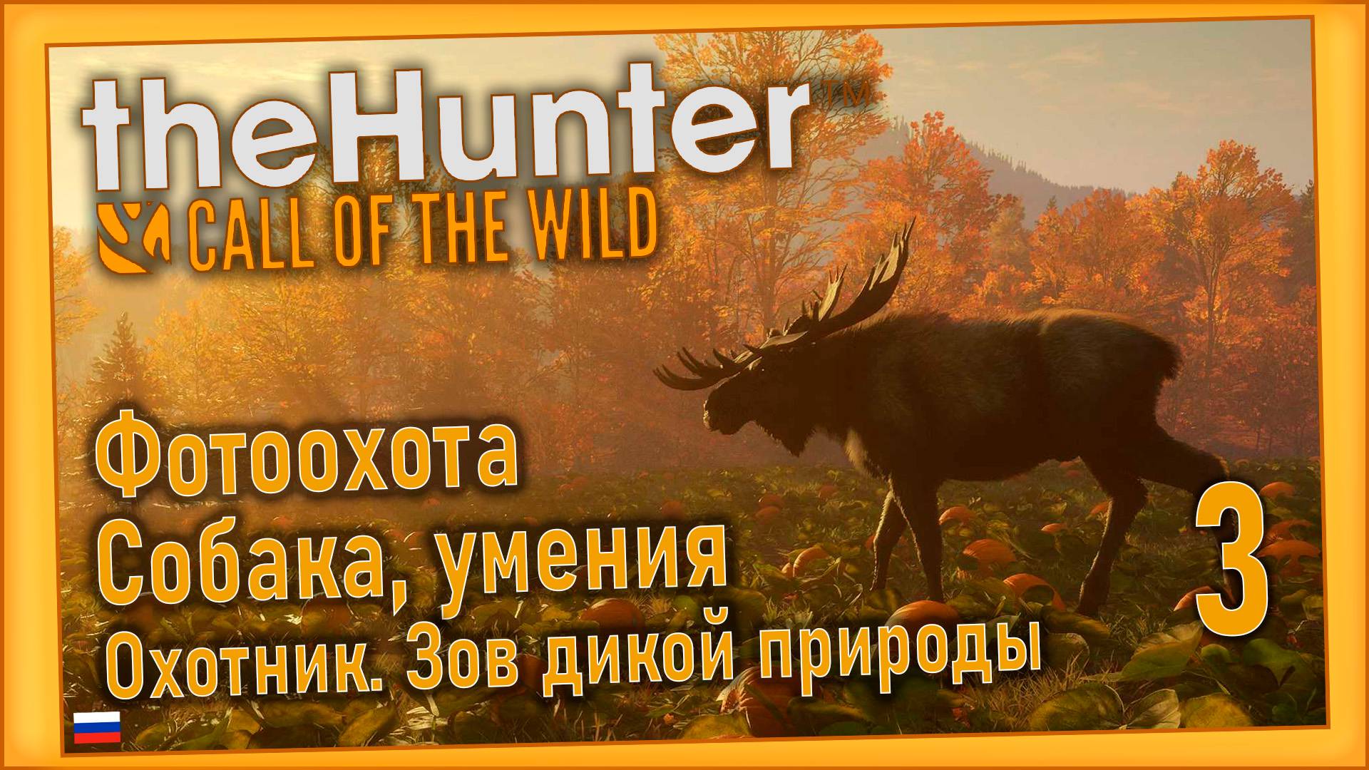 theHunter Call of the Wild/Охотник. Зов дикой природы #3 - Изучаем помёт. смотреть онлайн