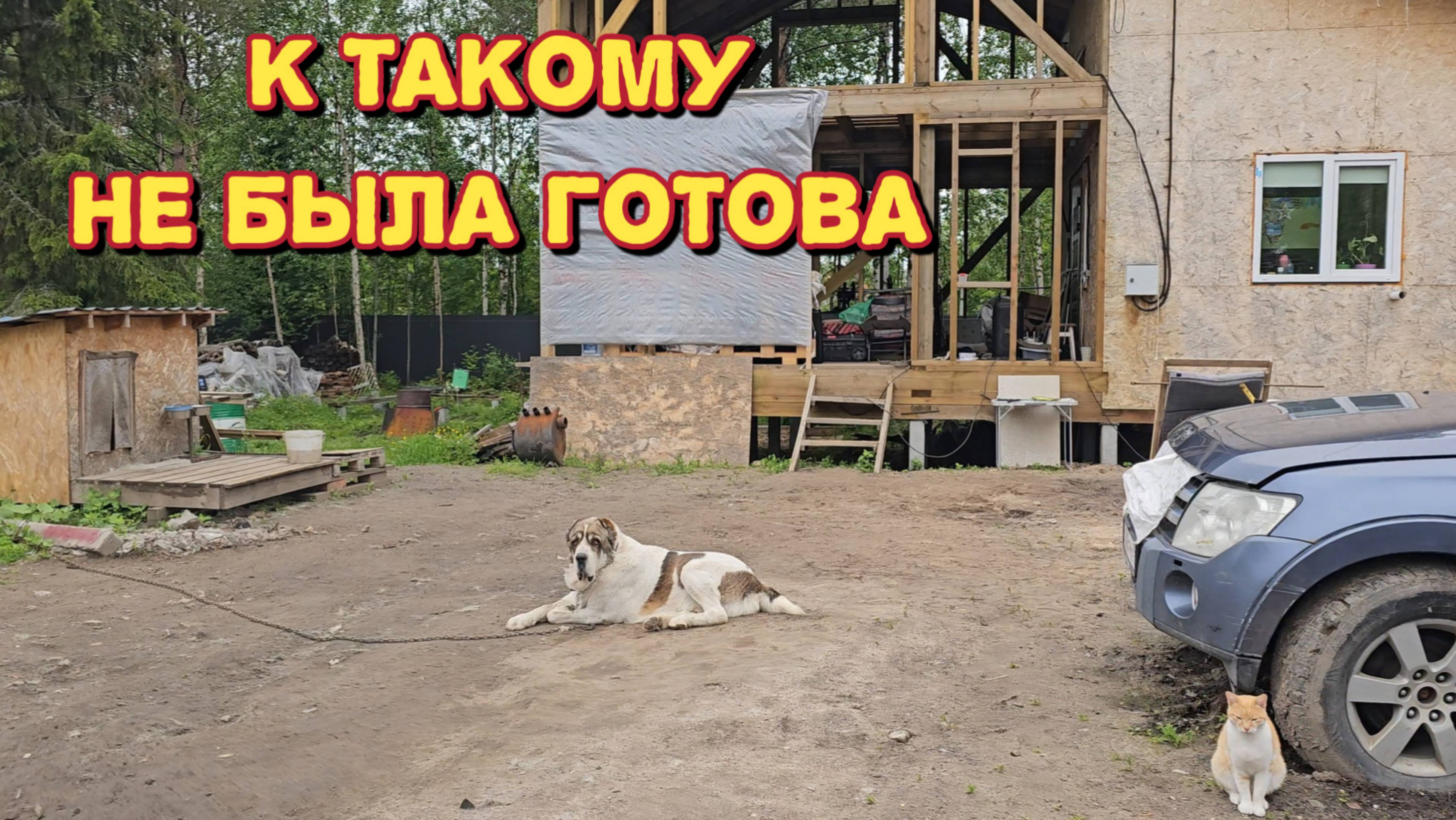 Ужас что там творится/как с ними боротся/приехали к нам на помощь/поймали щуку на северной двине. смотреть онлайн