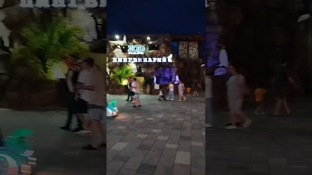 Парк в Лазаревском, колесо обозрения, дельфинарий Колизей, пингвинарий Лазаревское вечером,центр смотреть онлайн