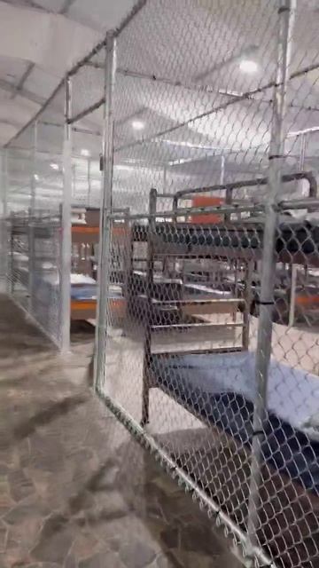 Так выглядит "Алькатрас с аллигаторами" для мигрантов изнутри Центр содержания нелегальных мигрант смотреть онлайн