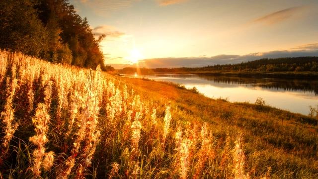 БЕРЁЗОВЫЙ СОК👍(А.Иванцов)👍👍👍 смотреть онлайн