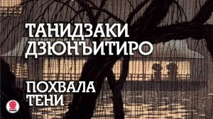ТАНИДЗАКИ ДЗЮНЬИТИРО «ПОХВАЛА ТЕНИ». Аудиокнига. Аудиокнига Читает Всеволод Кузнецов