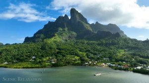 Тропический рай. Красивая природа и спокойная музыка.