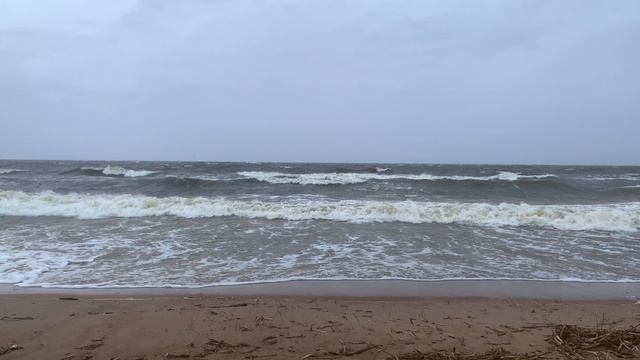 Шторм на Финском заливе 29.06.2025 смотреть онлайн