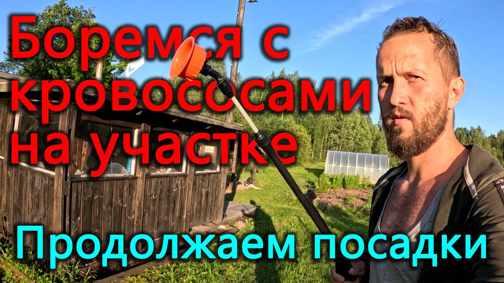 Боремся с кровососущими гадами на наших участках. Продолжаем посадки на огороде. Пытаемся гулять. смотреть онлайн
