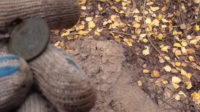 Грибной коп с  EQUINOX 600