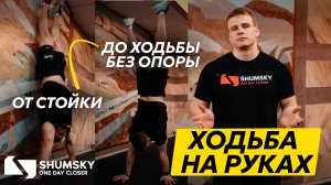 Как научиться ходить на руках: простая прогрессия от стены до свободной ходьбы🤸♂️