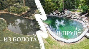 АД реконструкции пруда: снос, стройка, нервы | Спасаем пруд для купания в Агаларов Эстейт