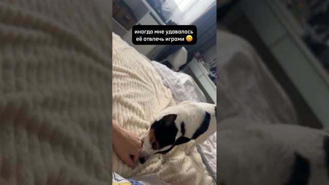 Пока я отдыхала в Сочи, моя доченька ухаживала за Бенечкой и создала для меня вот этот клип😭 🥰 смотреть онлайн