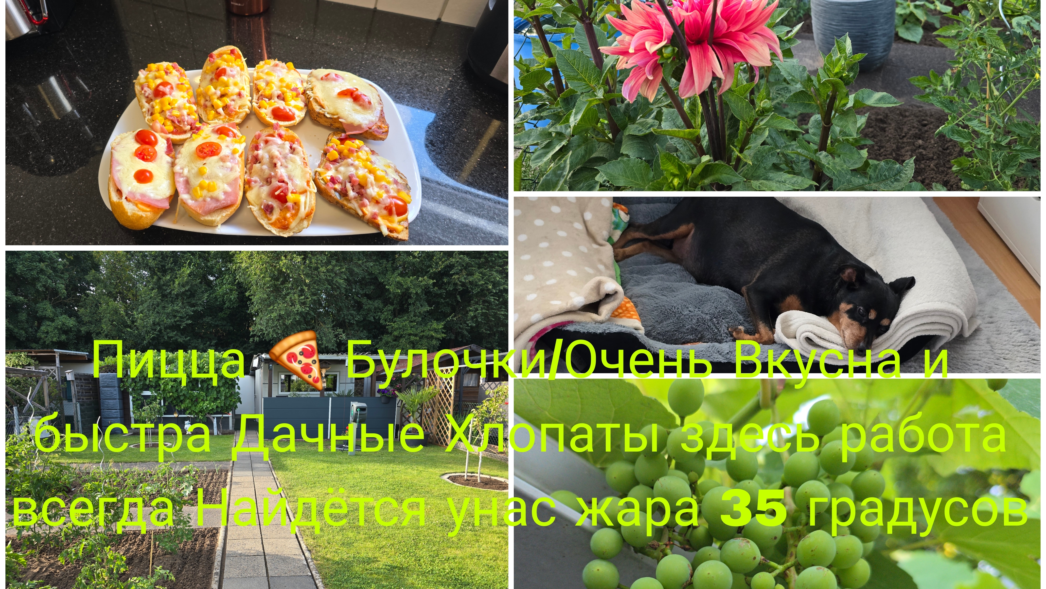 Vlog 🇩🇪 Pizzabrötchen /Горячие Бутерброды с Беконом и Сыром/Работа на Даче/Унас очень жарко 🙈 смотреть онлайн