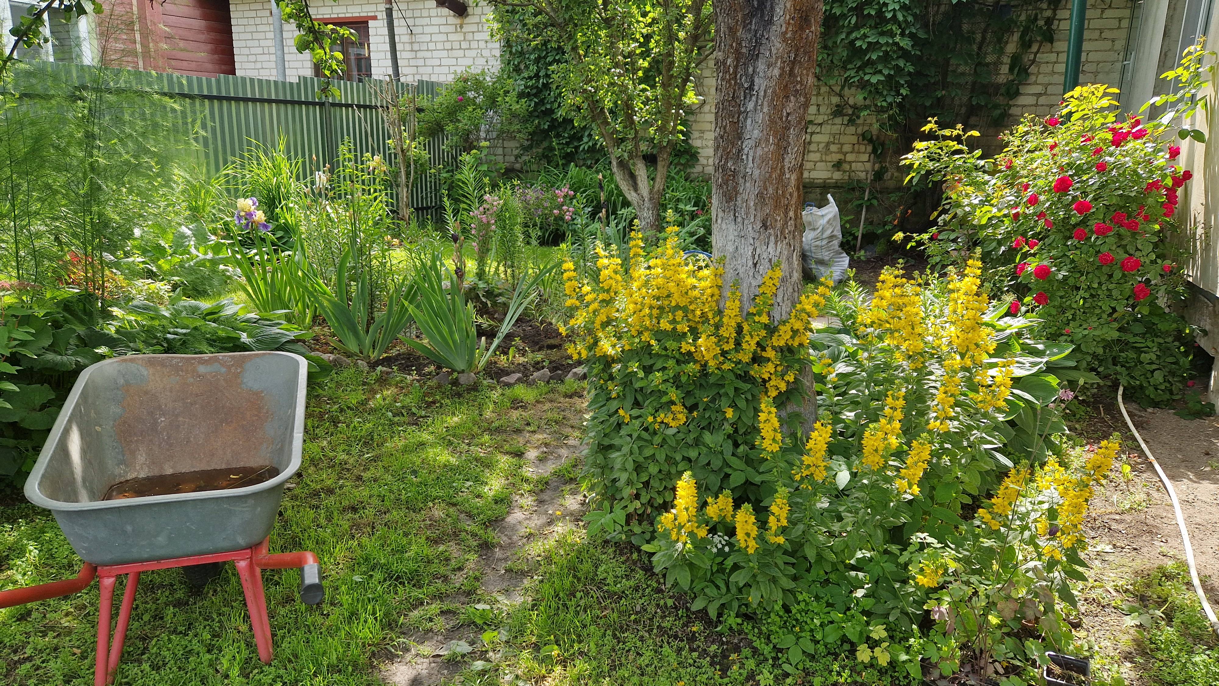 РЕМОНТ старого ДОМА. Установили ДВЕРЬ и подключили ЛЕТНЮЮ ВОДУ. Собираю урожай 🍓 Цветник и огород смотреть онлайн
