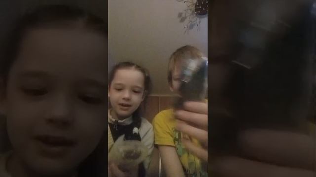 Пробуем дубайский шоколад!!!! смотреть онлайн