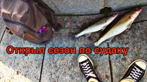 ОТКРЫЛ СЕЗОН ПО СУДАКУ | РЫБАЛКА НА НЕВЕ