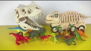 Видео для малышей |Динозавры, машинки.