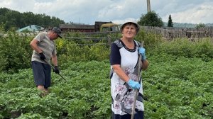 Приехали на ПОМОЩЬ МАМЕ. Колорадский ЖУК🪲
