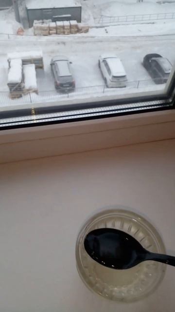 ❓ ЧЕМ кормить Бабочку зимой ??❓ Вы знаете ❓