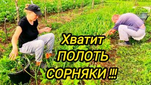 КУПИЛИ ДОМ В ДЕРЕВНЕ | Хватит полоть сорняки | Дом в деревне | Деревенские будни