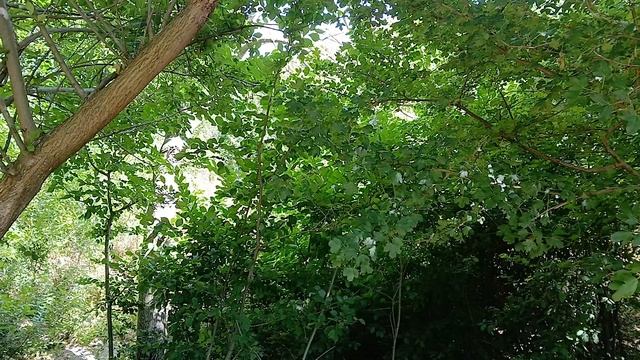 Участок 6 сот.ИЖС. Голубой Залив. Крым