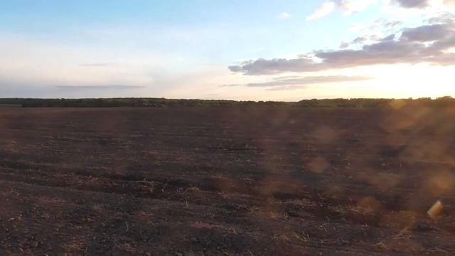 Есть ещё серебро на этом поле.Minelab Equinox 600