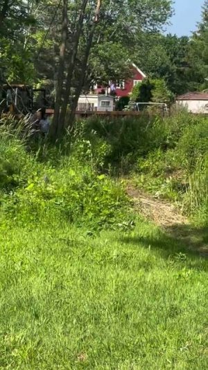 Идиотос 80+. Лесоруб.