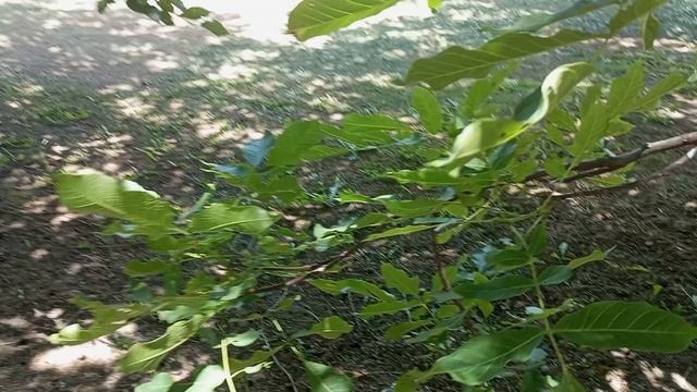 ветер и нет тепла смотреть онлайн