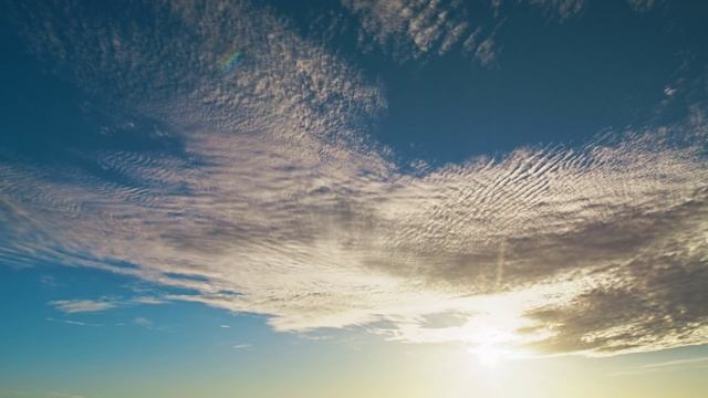 Maybe I'll come back someday. смотреть онлайн