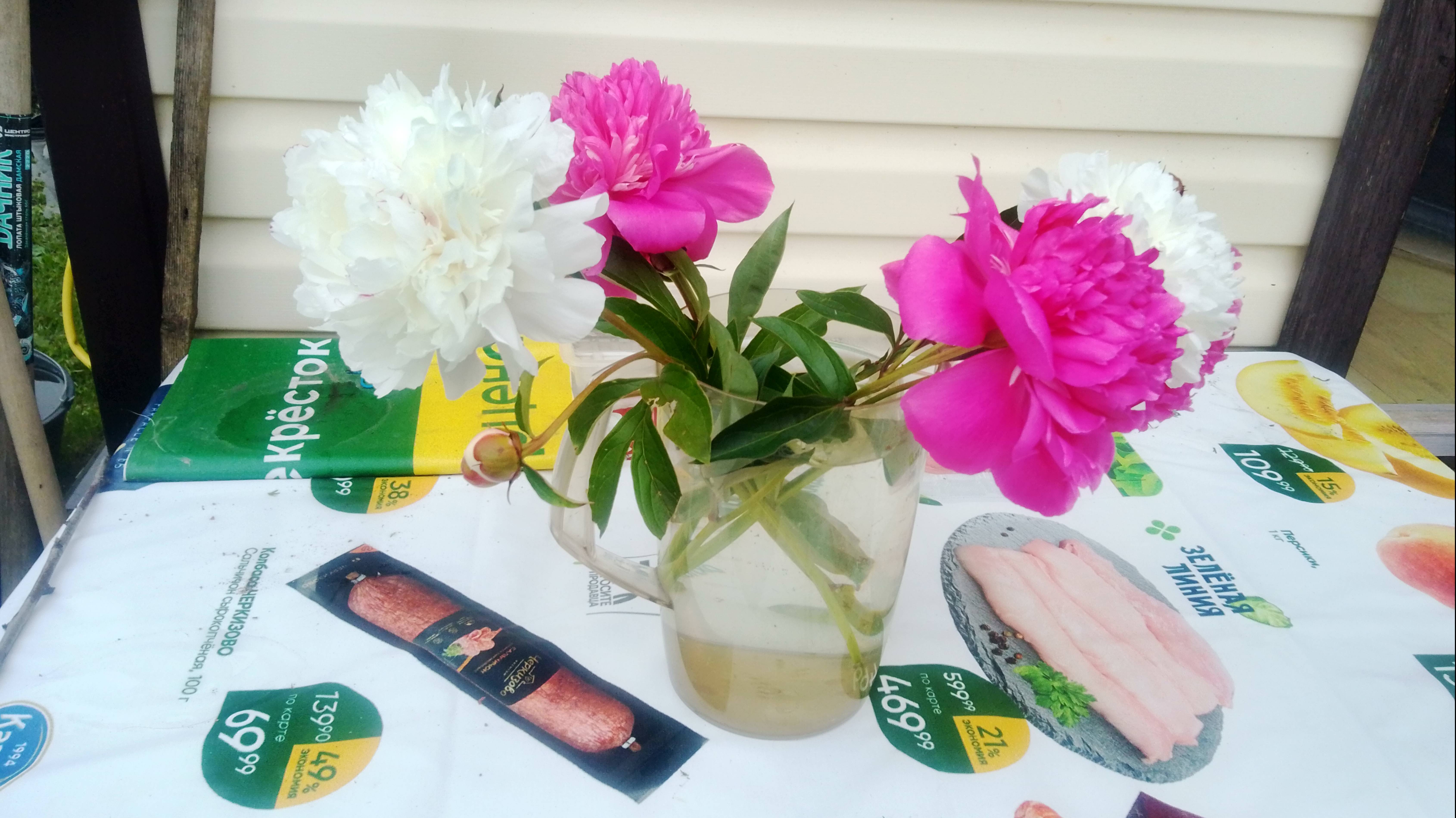 У природы нет плохой погоды июль 2025  года.