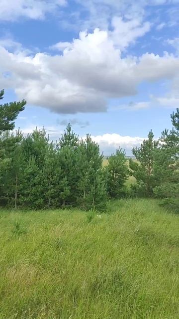 Дорога в Болотовск смотреть онлайн