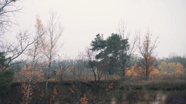 Эта мелодия раскроет красоту Земли - Why-Wait -- Ketsa -- The Lost Files