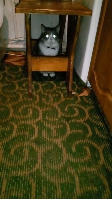 Когда мама ПРИЕХАЛА❗❗ #шортсы