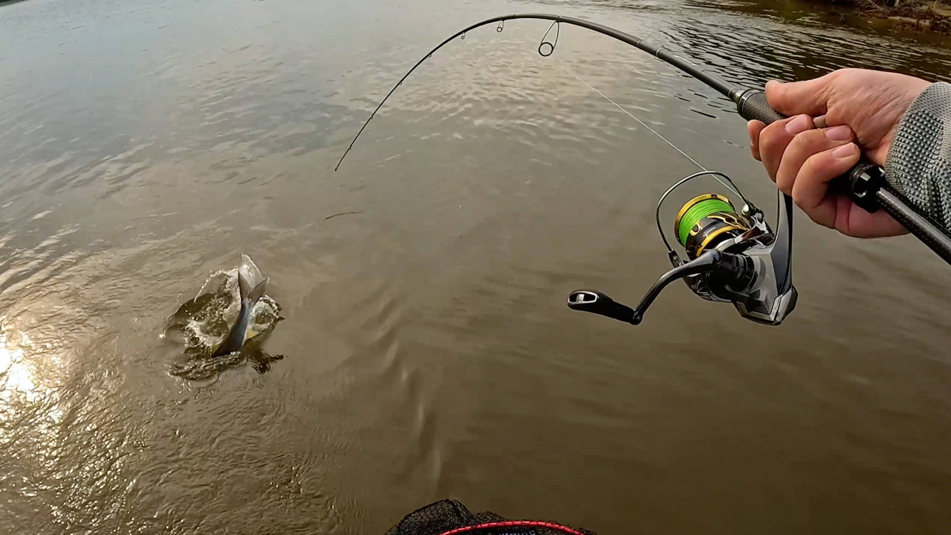 Желанный хищник Амура, мощные поклевки и сопротивление смотреть онлайн