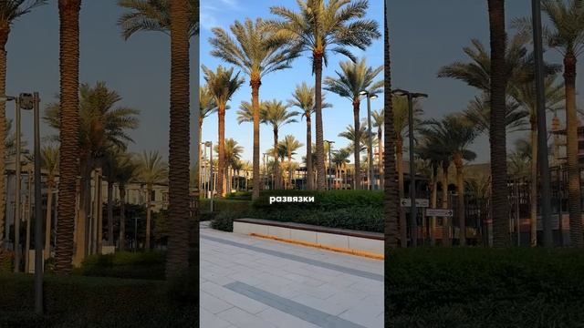 Сколько можно заработать в Дубае?