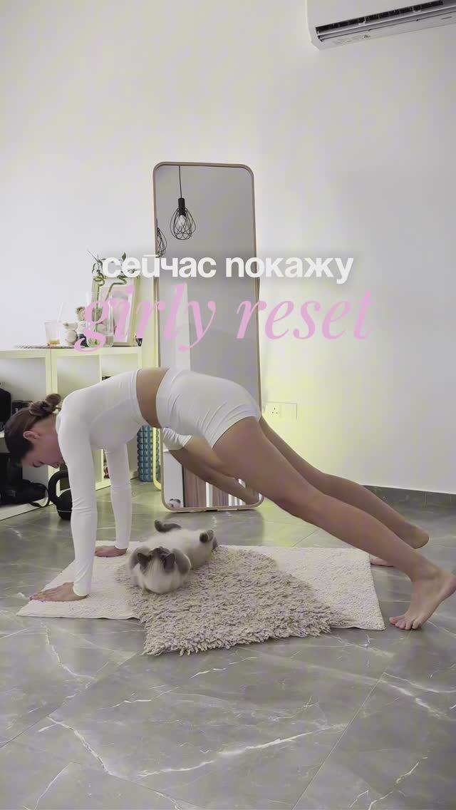Помогает в любых непонятных ситуациях #фитнесдома #cat #hisports #тренировка #пилатес смотреть онлайн