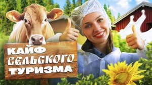 Сельский туризм на Урале: айрширские коровы, зеленые яйца и сыр с золой