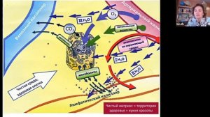 КАК УСТРОЕНА ВАША ЗДОРОВАЯ ЖИЗНЬ