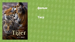Тигр (документальный фильм, 2024)