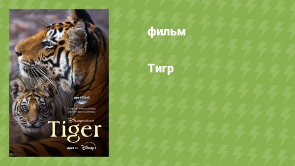 Тигр (документальный фильм, 2024)