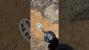 [RUS] Катушка Deus 2 HF2 против катушки Manticore M8 в режиме поиска золота