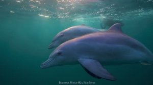 Summer House ⛱️ Chillout Vibes for Sunny Days+FANTASTIC PLACES