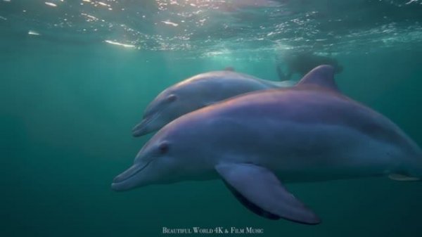 Summer House ⛱️ Chillout Vibes for Sunny Days+FANTASTIC PLACES