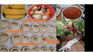 Переезд из Сибири на юг. Купили дом на юге. Наслаждаемся южной жизнью. 💖