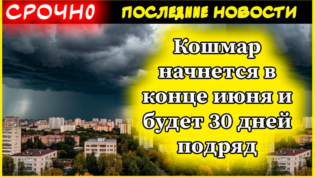 Дедовская подкормка для огурцов за 15 минут - урожай по два ведра каждые 2 дня с 6 кустов смотреть онлайн