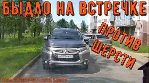 Быдло на встречке #193! Подборка на видеорегистратор!