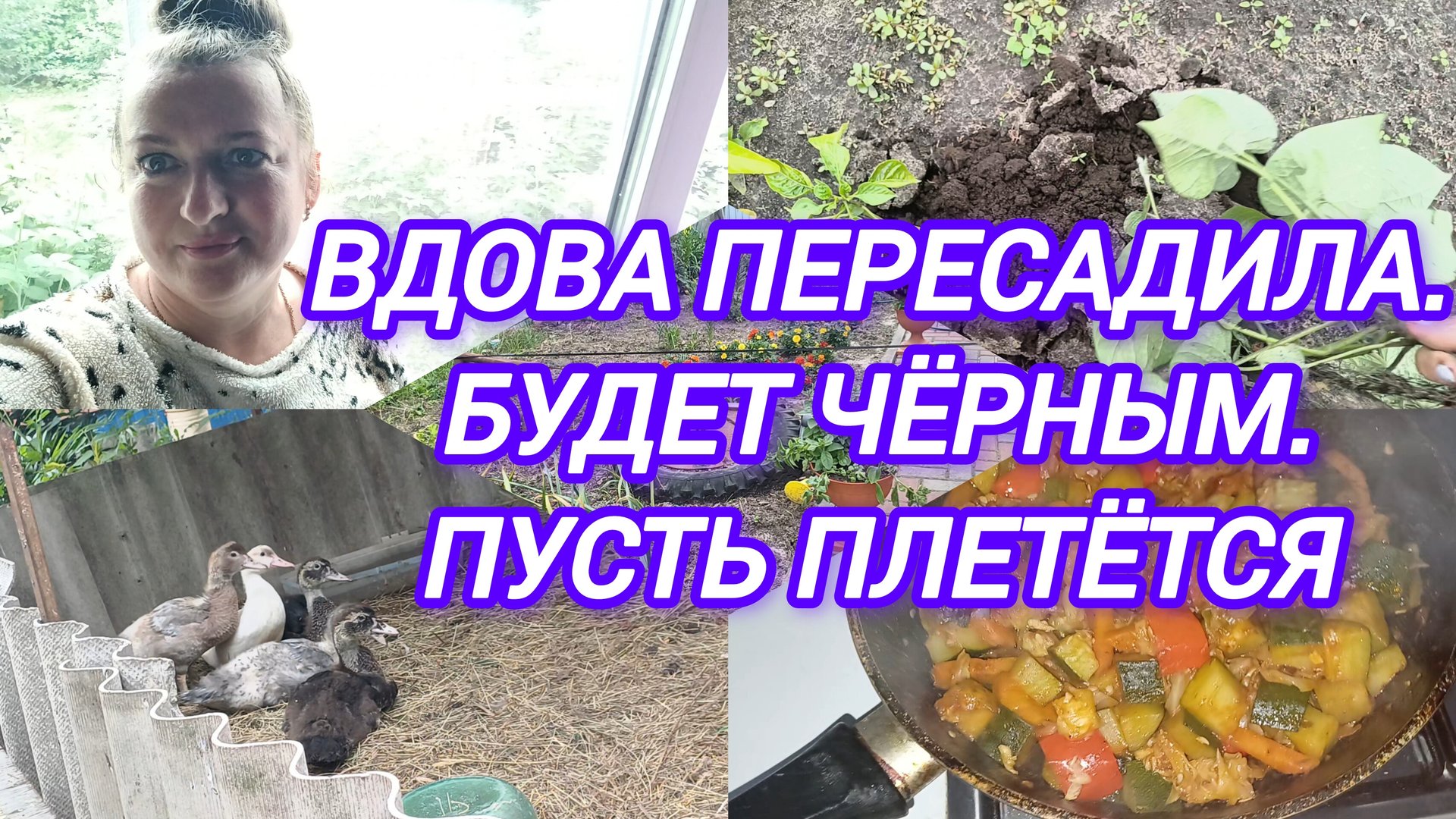 ВДОВА ПЕРЕСАДИЛА. БУДЕТ ЧЁРНЫМ. ПУСТЬ ПЛЕТЁТСЯ смотреть онлайн