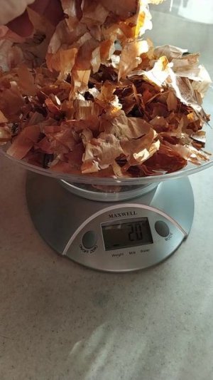 Паутинный клещ  на огурцах