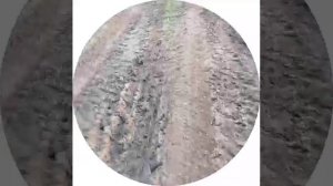 Мопеды сериал 382